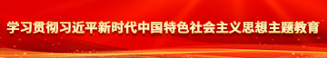 简隋英高抬腿求饶哭泣学习贯彻习近平新时代中国特色社会主义思想主题教育