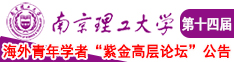 干BB南京理工大学第十四届海外青年学者紫金论坛诚邀海内外英才！